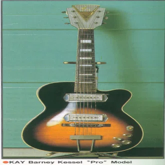 デビッド・リンドレーの節操 – auldguitars