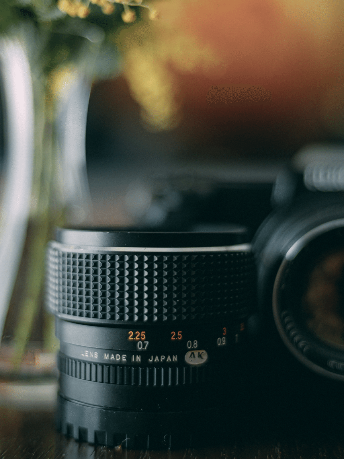 GFX 50SⅡを購入しました。|Mizuki Tanaka GFX 50SⅡを購入しました。|Mizuki Tanaka