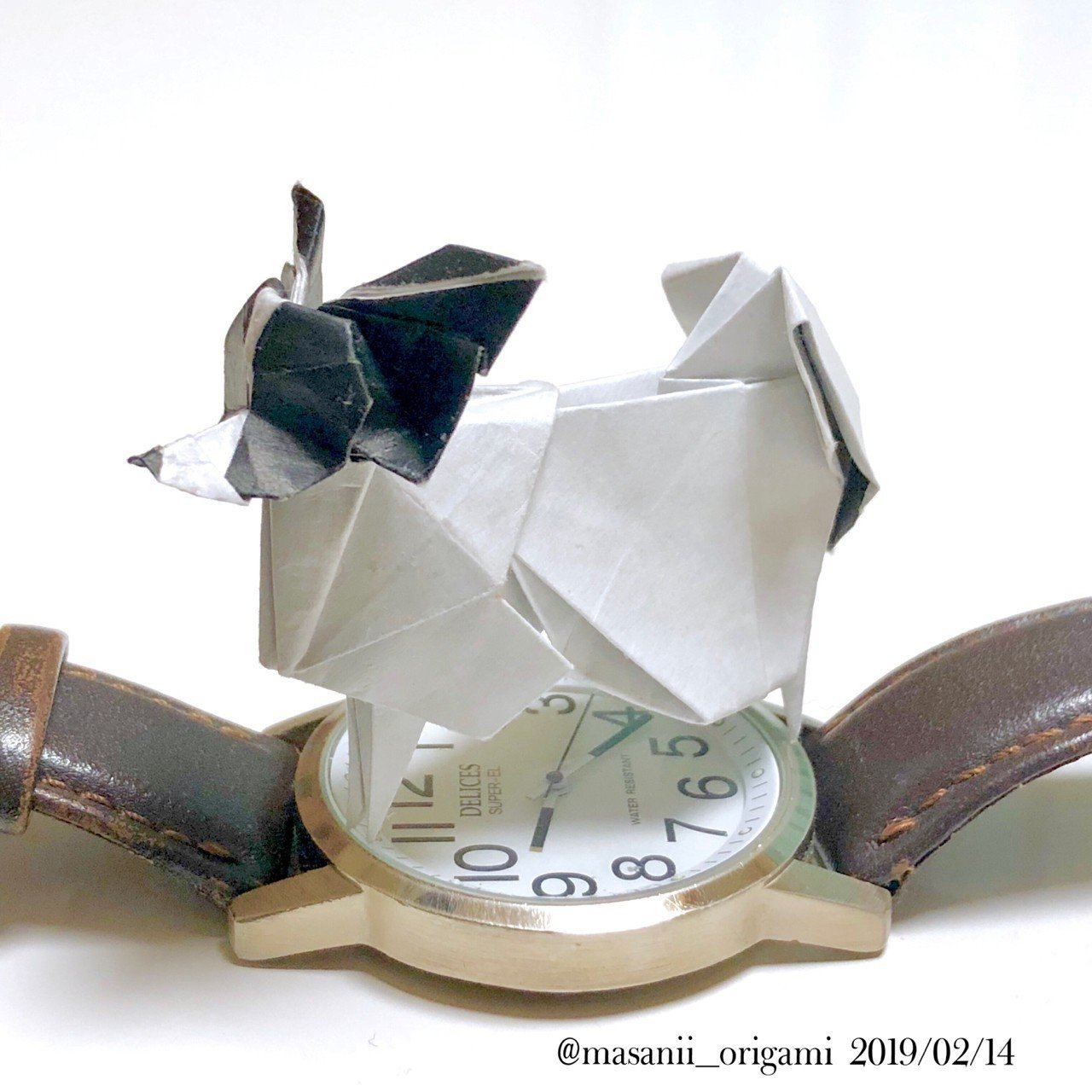 腕時計サイズ 端正な折り紙 の パピヨン を 15cmで作ってみました まさにぃ Note