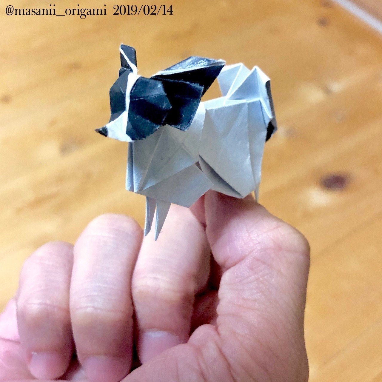 腕時計サイズ 端正な折り紙 の パピヨン を 15cmで作ってみました まさにぃ Note