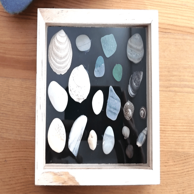 貝殻や石の標本作り｜末埼鳩（まつさきはと）