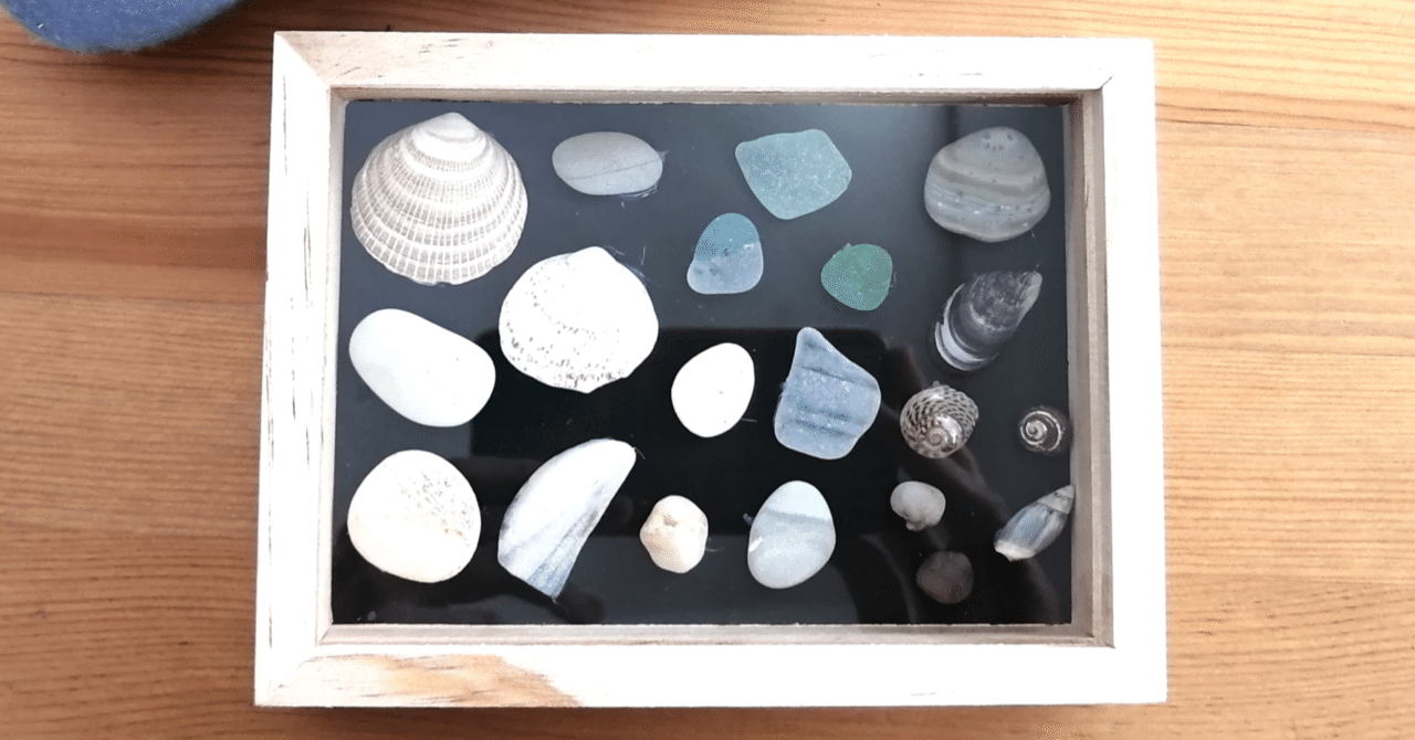 貝殻や石の標本作り｜末埼鳩（まつさきはと）