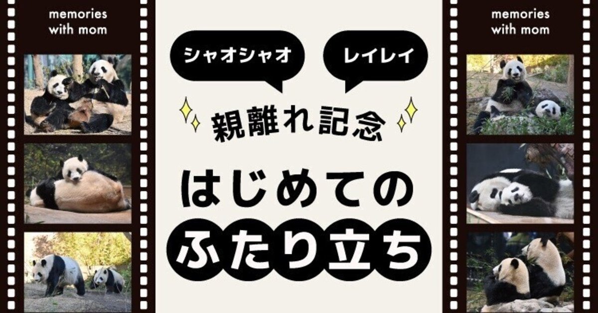 3/21更新】松坂屋上野店で、双子パンダの親離れを応援する