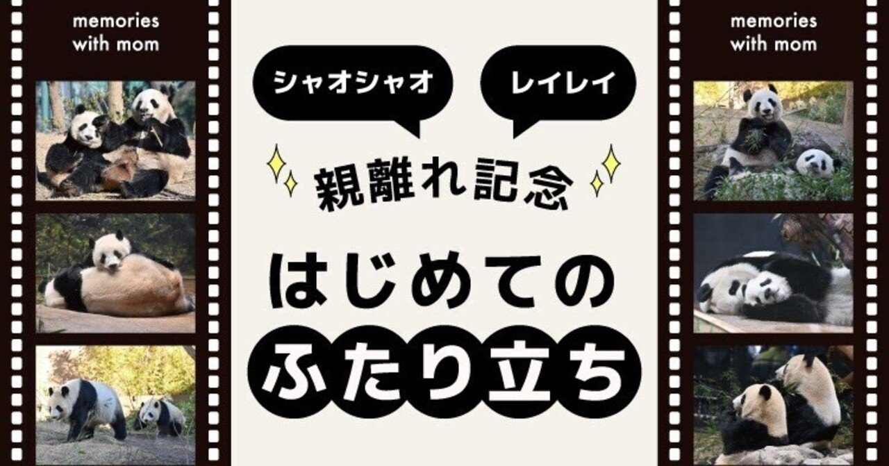 3/21更新】松坂屋上野店で、双子パンダの親離れを応援するイベントが