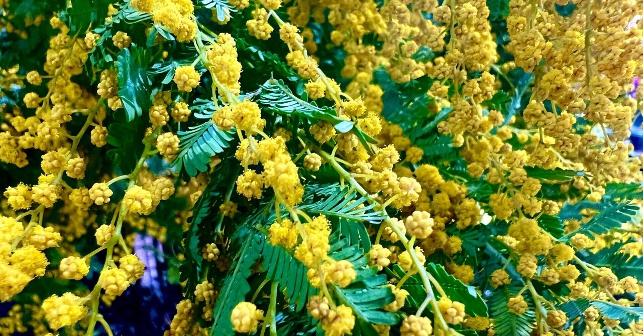 2/3 八門法配置・気図法配置の仕組みとそこから分かること|金烏玉兎庵 算命学の学び舎