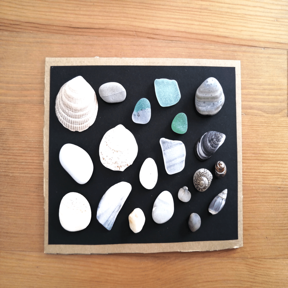 貝殻や石の標本作り｜末埼鳩（まつさきはと）