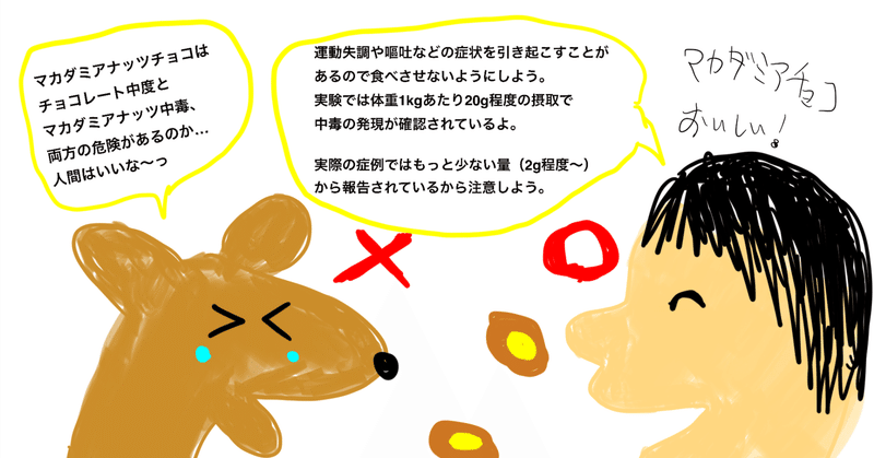 中毒16：犬のマカダミアナッツ中毒【中毒】