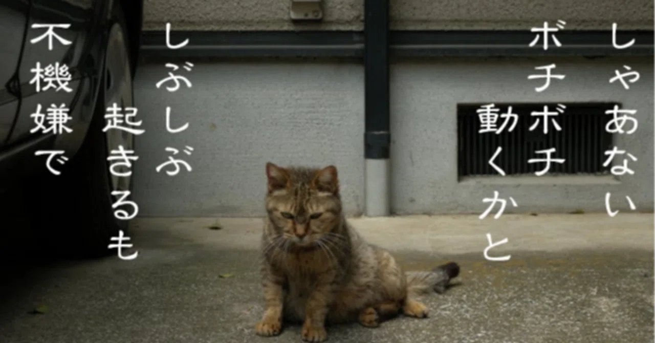 見出し画像