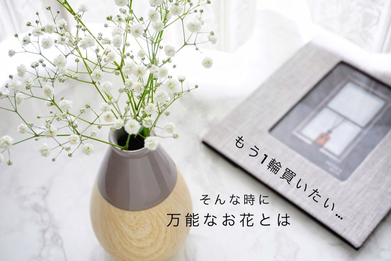もう1輪買いたい そんな時に万能なお花とは Shion Note もう1輪買いたい そんな時に万能なお花とは Shion Note