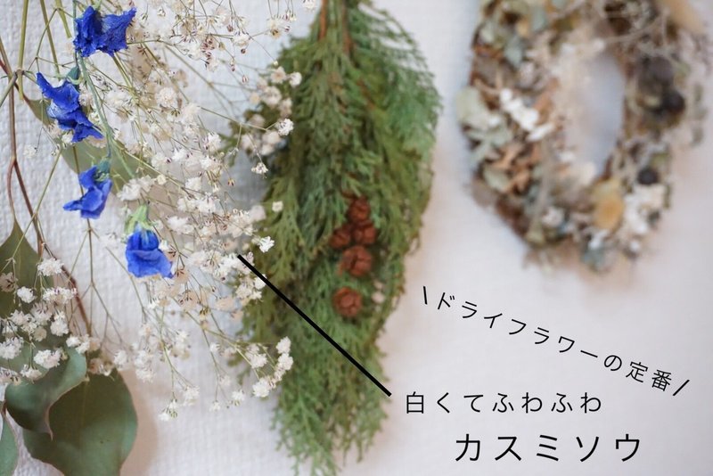 もう1輪買いたい そんな時に万能なお花とは Shion Note