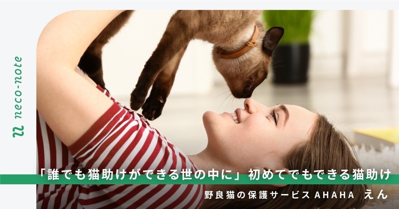 「誰でも猫助けができる世の中に」初めてでもできる猫助け｜野良猫の保護サービスAHAHA｜ネコノート🐱保護猫支援のneco-note